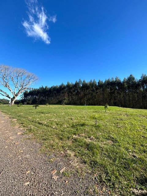 Chácara à venda em Montenegro, Área Rural de Montenegro, com 3609.38 m², Reserva Passo da Amora